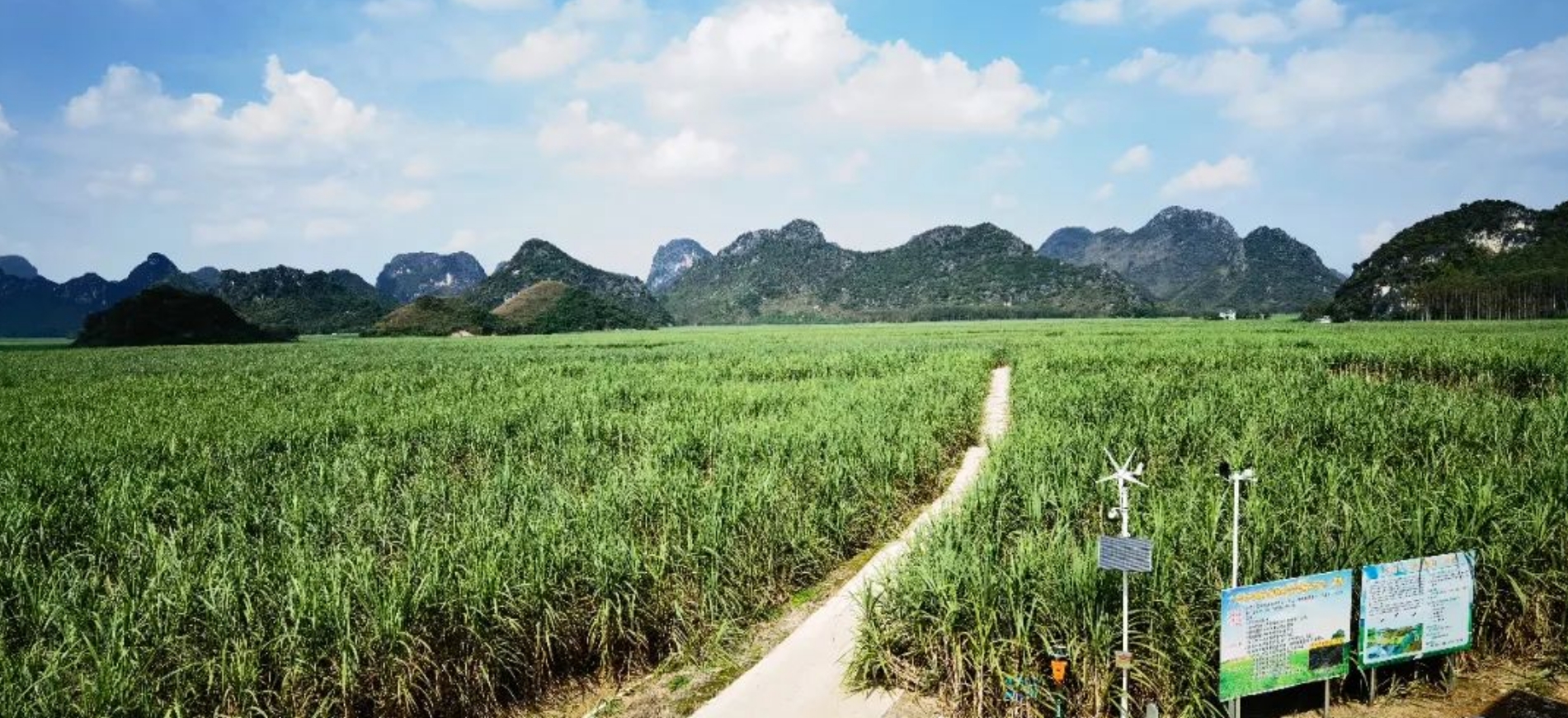 微信截圖_20231121175114.png 微信截圖_20231121175114.png