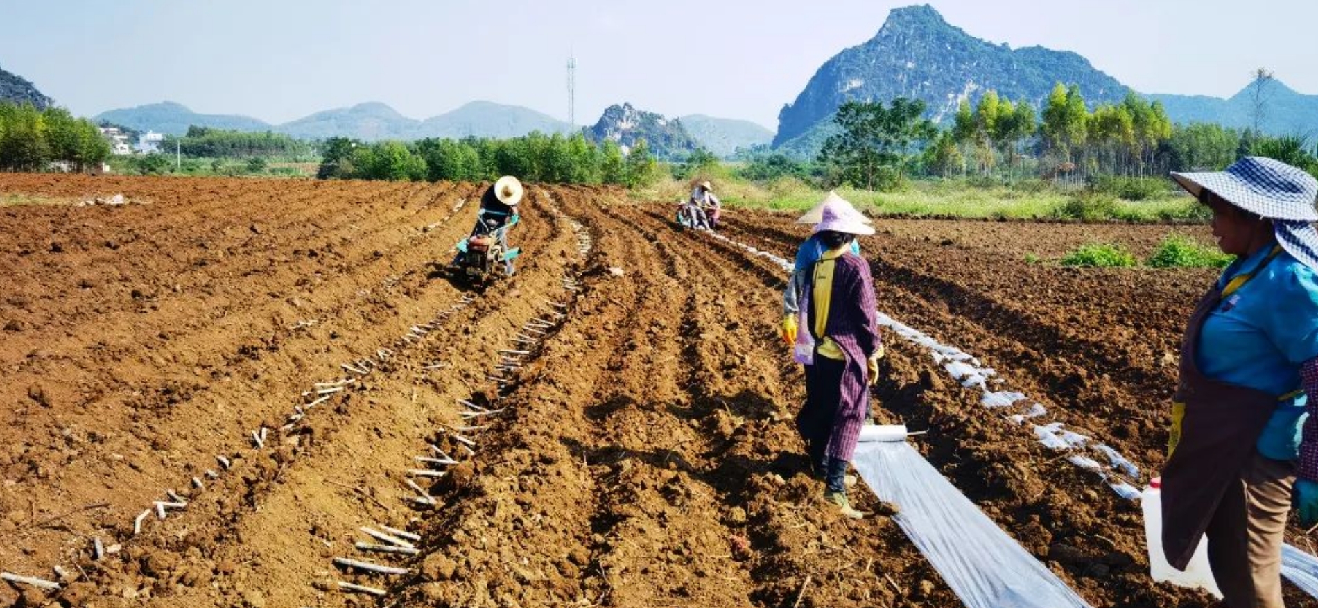 微信截圖_20231121175037.png 微信截圖_20231121175037.png