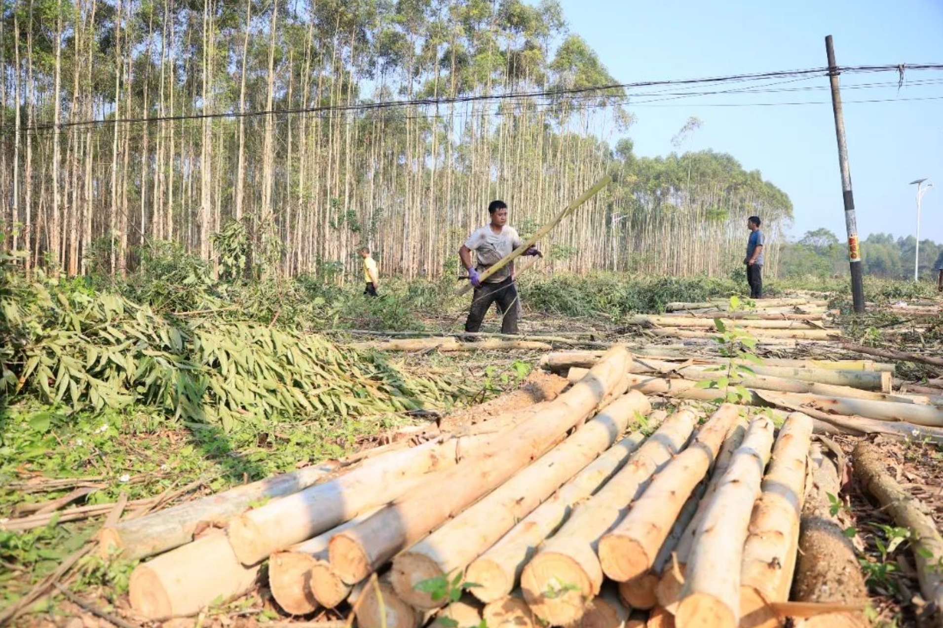 微信截圖_20231121174951.png 微信截圖_20231121174951.png