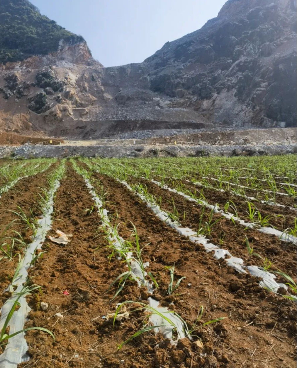 微信截圖_20231121174941.png 微信截圖_20231121174941.png