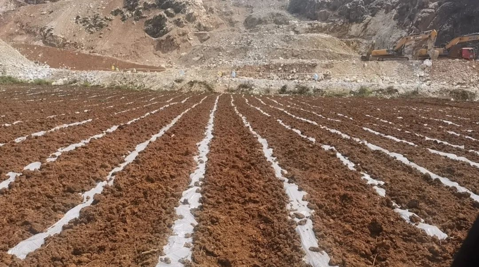 微信截圖_20231121174930.png 微信截圖_20231121174930.png