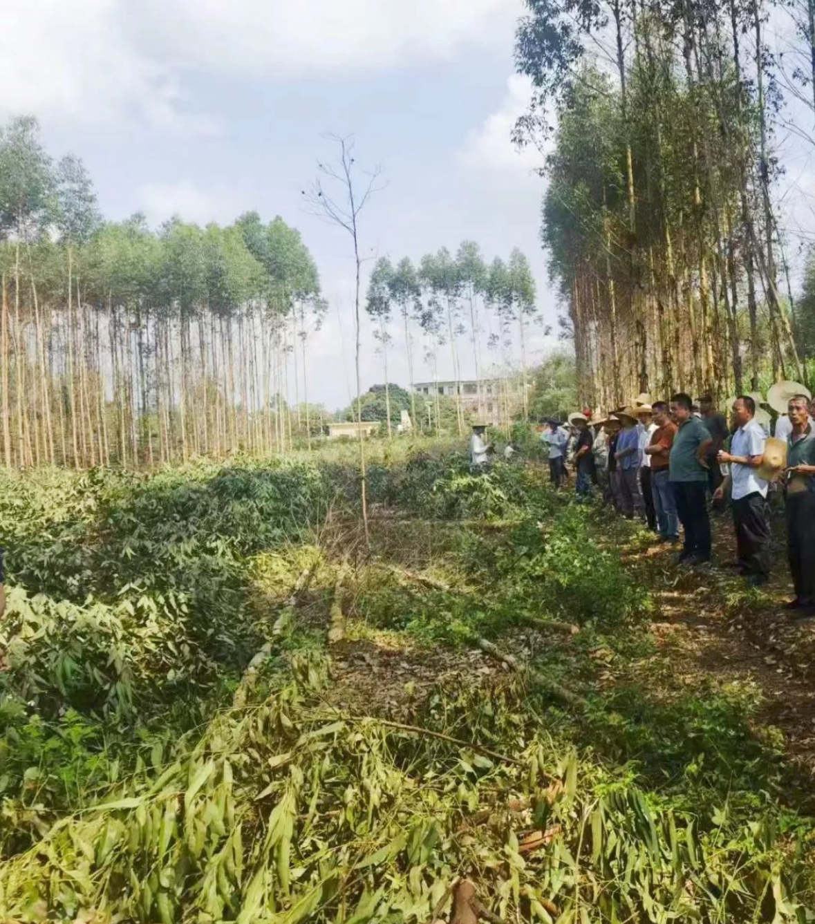 微信截圖_20231121175017.png 微信截圖_20231121175017.png