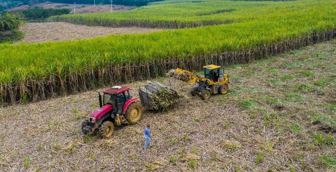 595144dbe8044e704b5272457d877060.jpg 595144dbe8044e704b5272457d877060.jpg