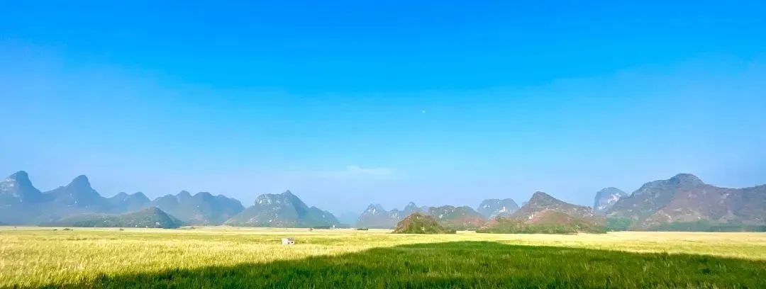 b8abd17842b5b83155ea7bbfb96bd6db.jpg b8abd17842b5b83155ea7bbfb96bd6db.jpg