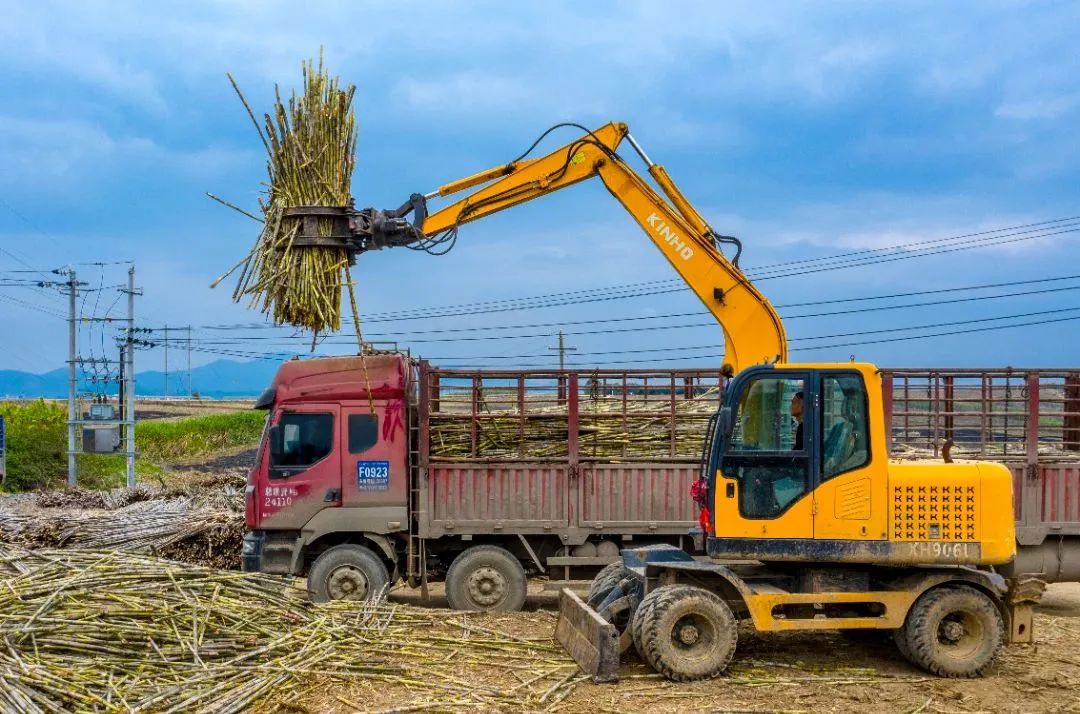 1315ec2a14cbaf28c54df602d14892ff.jpg 1315ec2a14cbaf28c54df602d14892ff.jpg