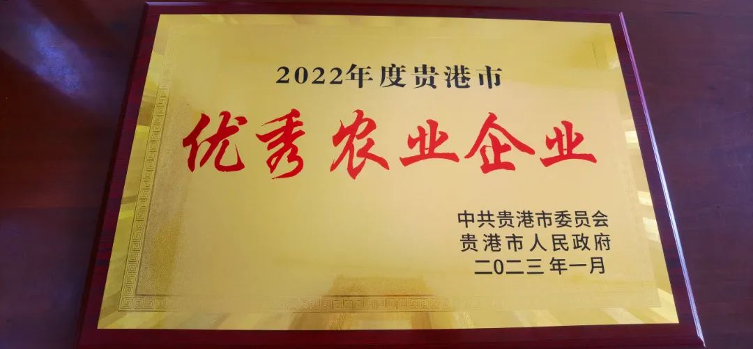 62e3edf4688e2d2dbd4d00fe18c9fdfa.jpg 62e3edf4688e2d2dbd4d00fe18c9fdfa.jpg