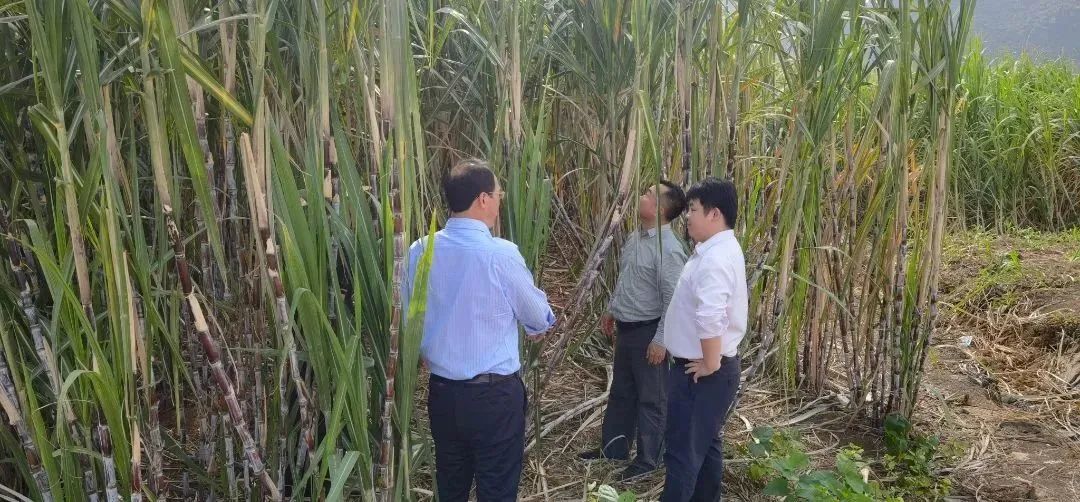 51e763d500c5518f28dd44eda378153e.jpg 51e763d500c5518f28dd44eda378153e.jpg