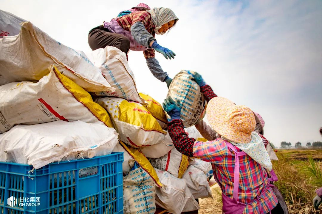 054697d7193a97f5c97beb2cf8121175.jpg 054697d7193a97f5c97beb2cf8121175.jpg