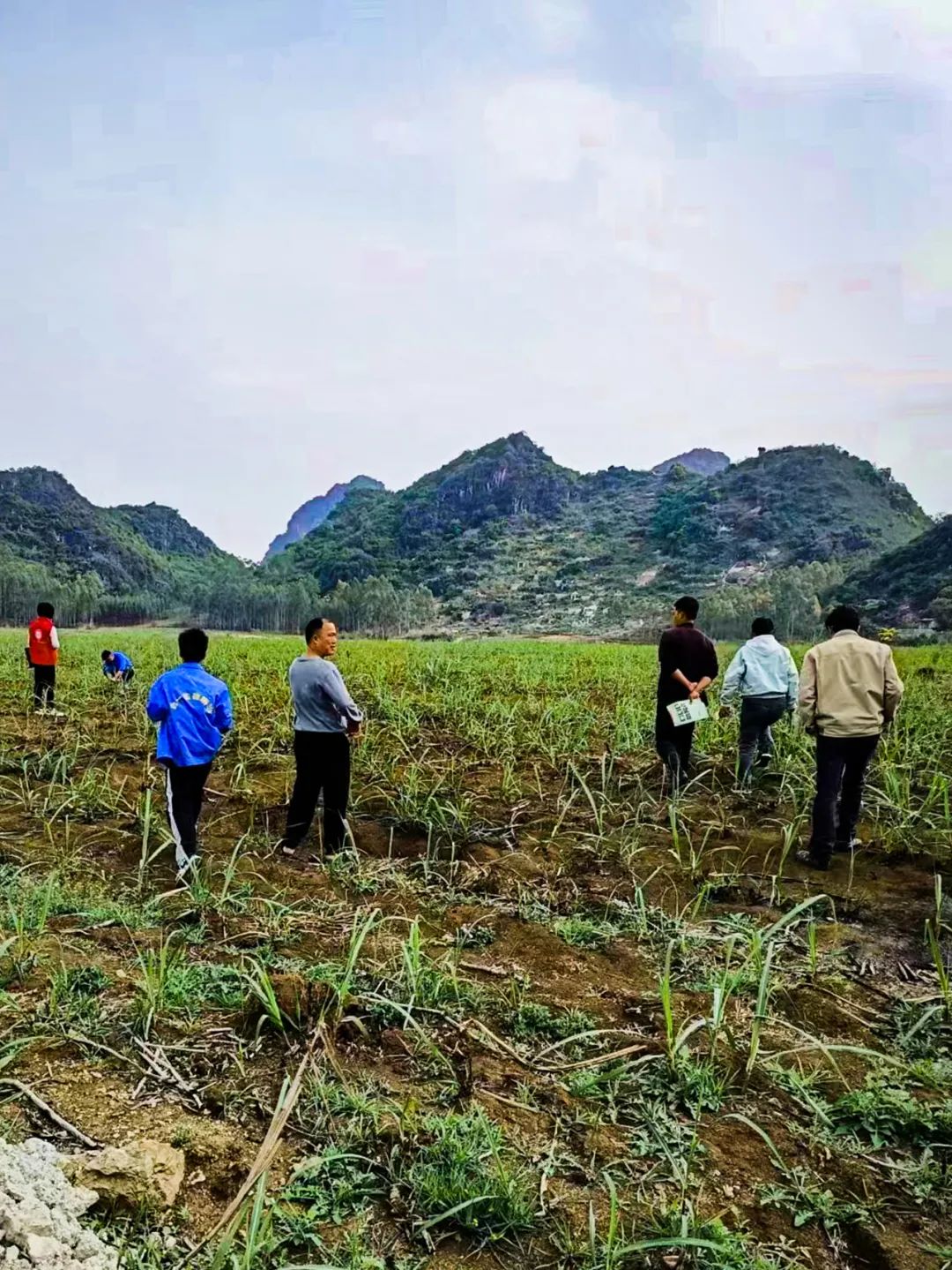 fa25bd4be000750a8f4053d118350809.jpg fa25bd4be000750a8f4053d118350809.jpg