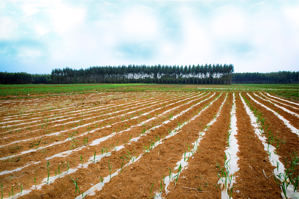 工牌3.jpg 工牌3.jpg