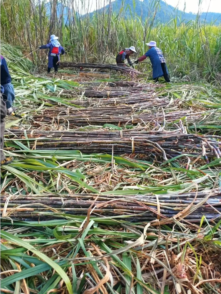 微信截圖_20241224152300.png 微信截圖_20241224152300.png