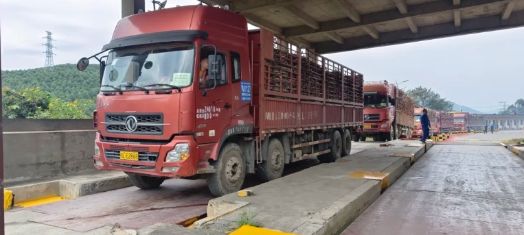 微信截圖_20241224152307.png 微信截圖_20241224152307.png