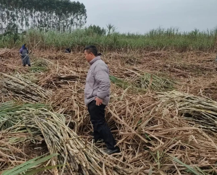 微信截圖_20240506151216.png 微信截圖_20240506151216.png