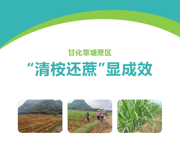 微信截圖_20240816091715.png 微信截圖_20240816091715.png