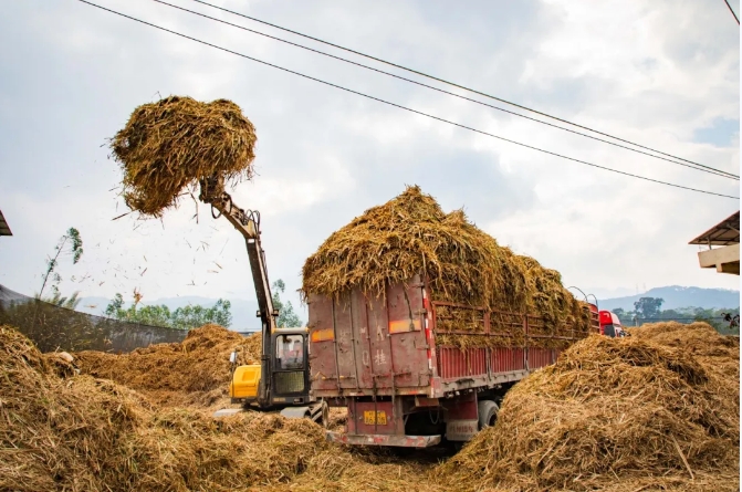 微信截圖_20240927163035.png 微信截圖_20240927163035.png