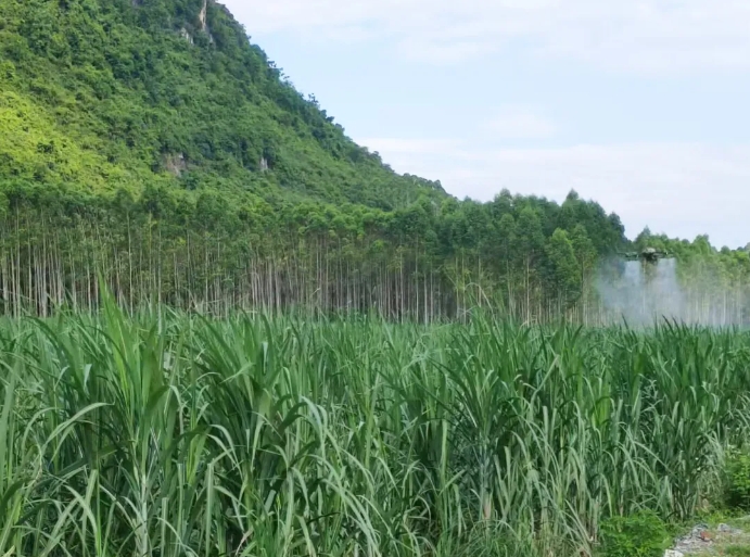 微信截圖_20240911102422.png 微信截圖_20240911102422.png