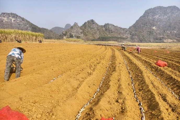 微信截圖_20250221160213.png 微信截圖_20250221160213.png