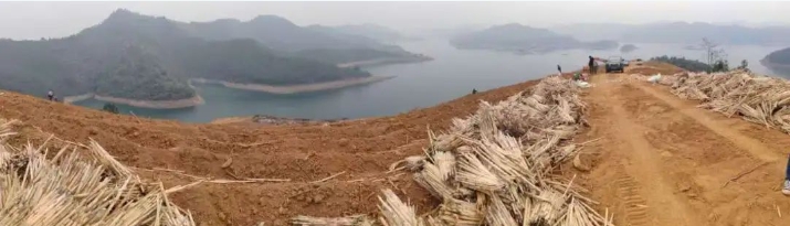 微信截圖_20250310155829.png 微信截圖_20250310155829.png