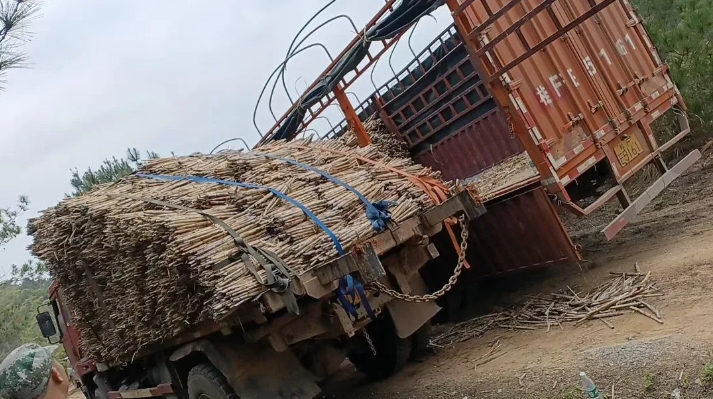 微信截圖_20250310155839.png 微信截圖_20250310155839.png