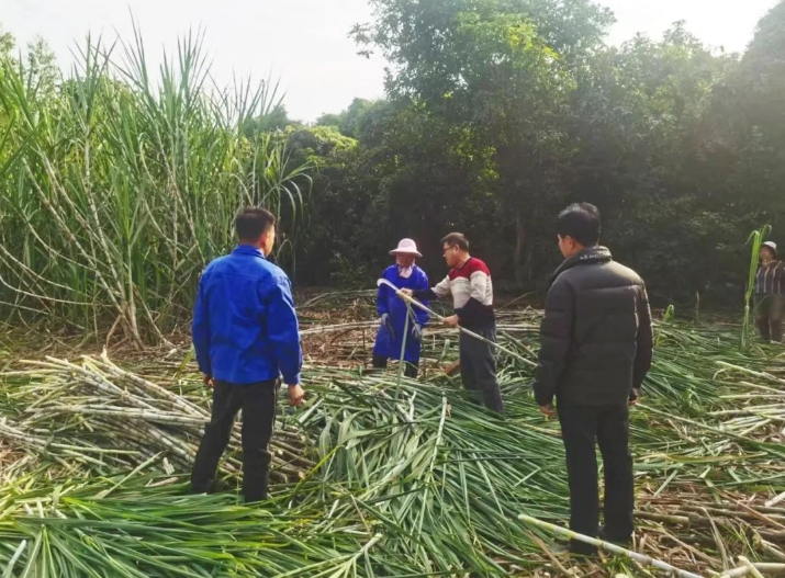 微信截圖_20250310155949.png 微信截圖_20250310155949.png