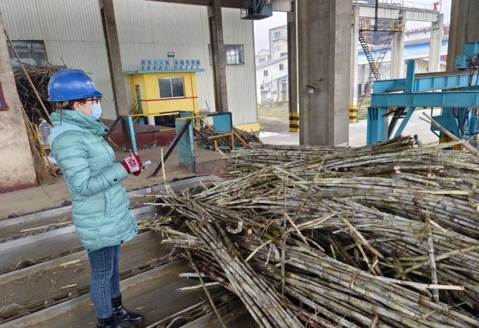 微信截圖_20250310173306.png 微信截圖_20250310173306.png