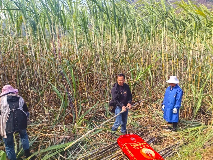 微信截圖_20250310173249.png 微信截圖_20250310173249.png