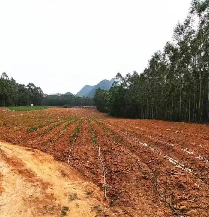 微信截圖_20250512100808.png 微信截圖_20250512100808.png